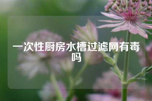 一次性厨房水槽过滤网有毒吗