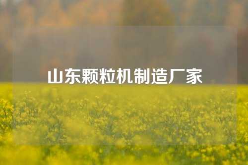 山东颗粒机制造厂家