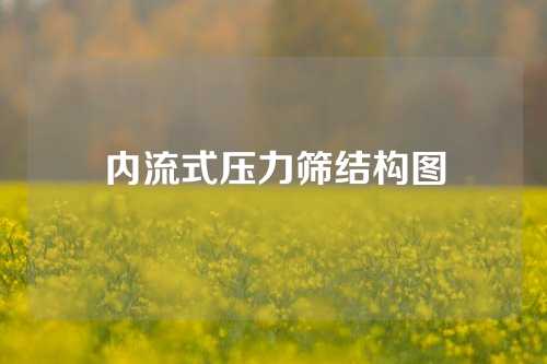 内流式压力筛结构图