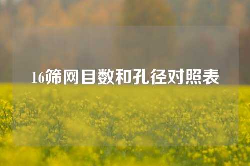 16筛网目数和孔径对照表