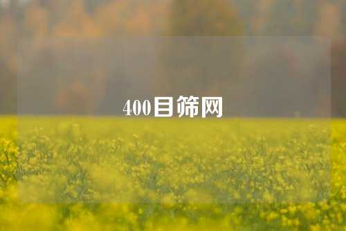 400目筛网