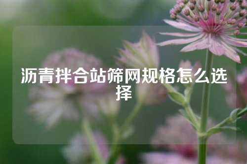 沥青拌合站筛网规格怎么选择