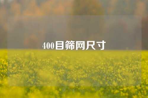 400目筛网尺寸