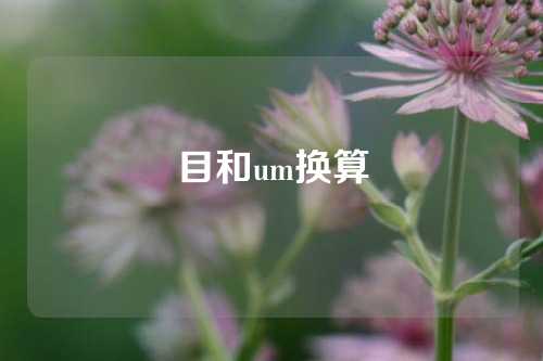 目和um换算