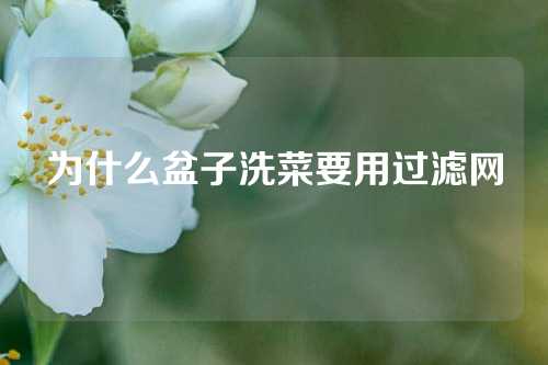 为什么盆子洗菜要用过滤网