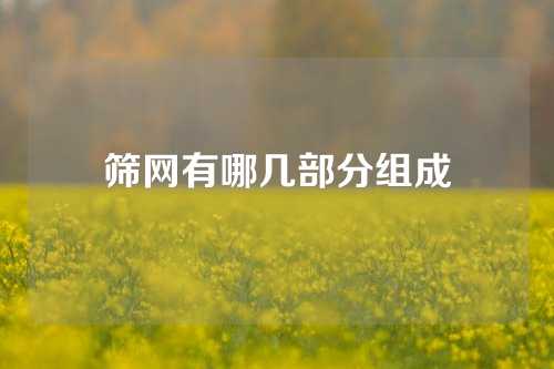 筛网有哪几部分组成