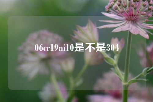 06cr19ni10是不是304