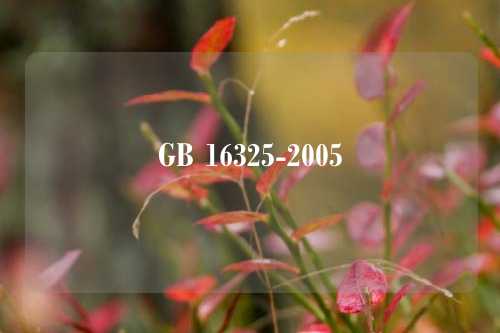 GB 16325-2005