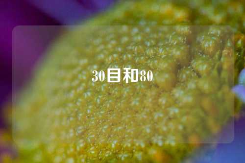 30目和80