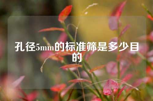 孔径5mm的标准筛是多少目的