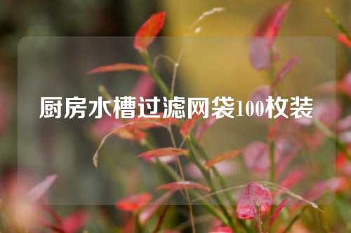 厨房水槽过滤网袋100枚装