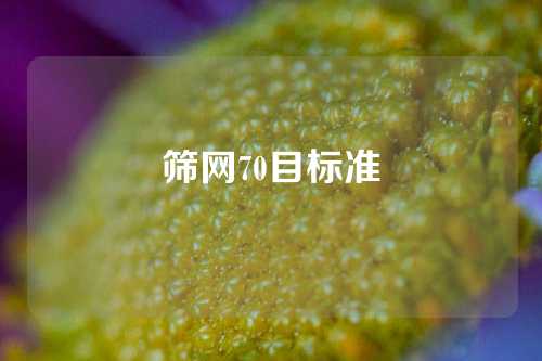 筛网70目标准