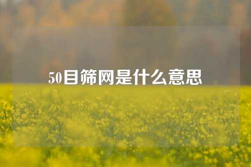 50目筛网是什么意思