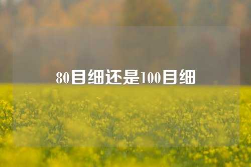 80目细还是100目细