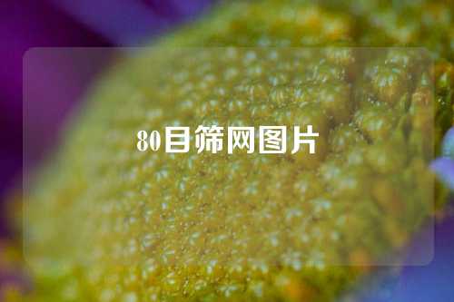 80目筛网图片