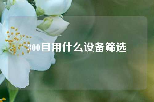 300目用什么设备筛选