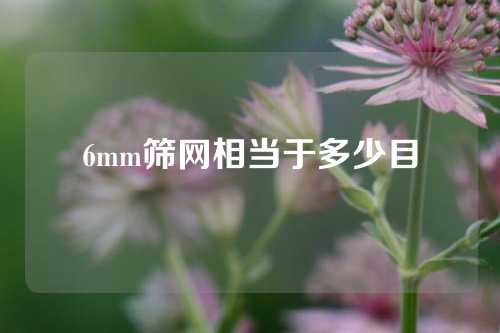 6mm筛网相当于多少目