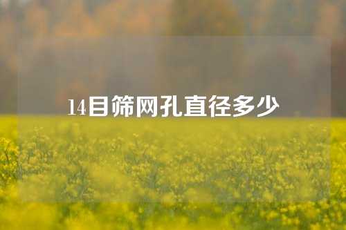 14目筛网孔直径多少