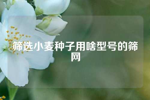 筛选小麦种子用啥型号的筛网