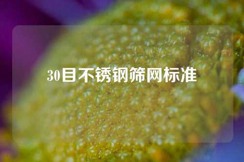 30目不锈钢筛网标准