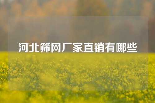 河北筛网厂家直销有哪些