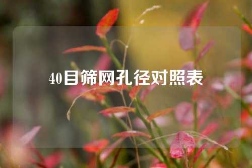 40目筛网孔径对照表