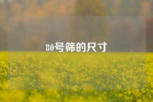 80号筛的尺寸