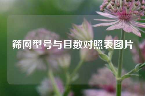 筛网型号与目数对照表图片