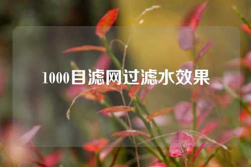 1000目滤网过滤水效果