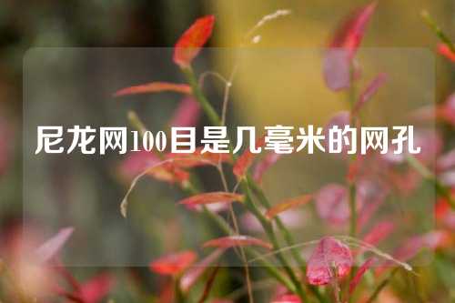 尼龙网100目是几毫米的网孔