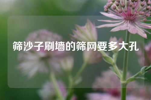 筛沙子刷墙的筛网要多大孔