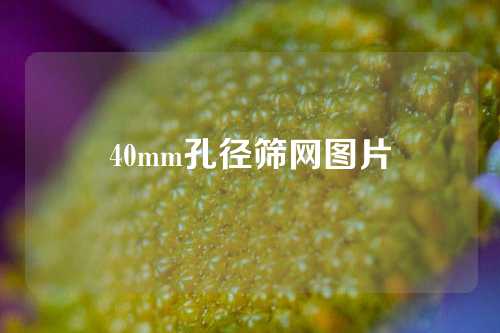 40mm孔径筛网图片