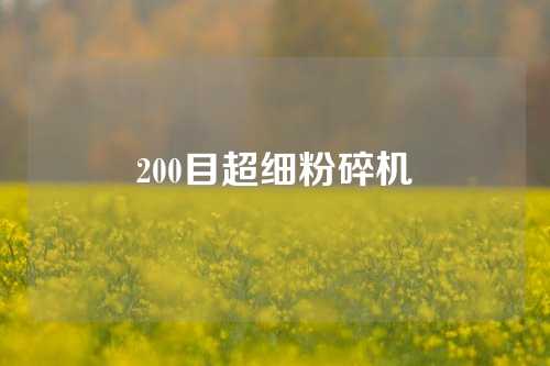 200目超细粉碎机