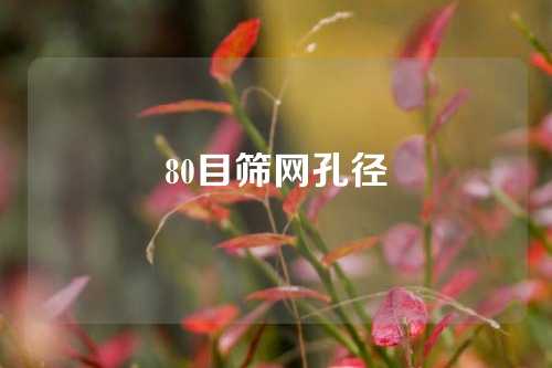 80目筛网孔径