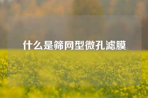 什么是筛网型微孔滤膜