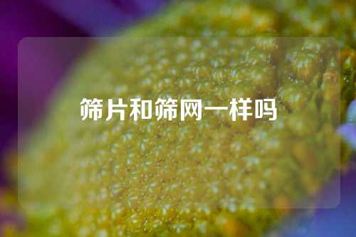 筛片和筛网一样吗