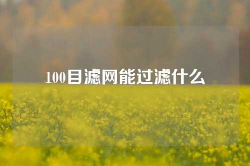 100目滤网能过滤什么