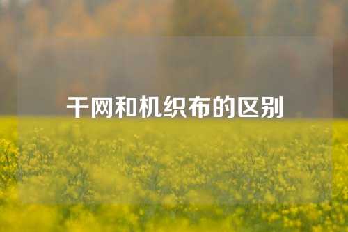 干网和机织布的区别