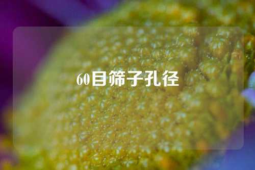 60目筛子孔径