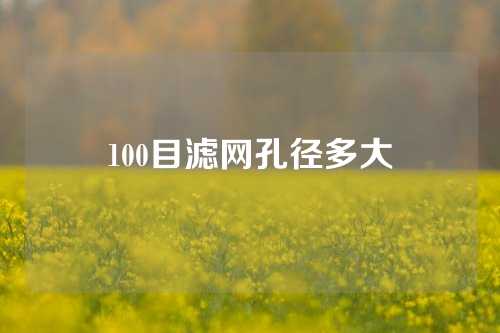 100目滤网孔径多大