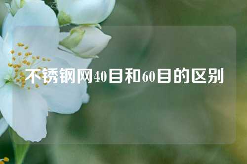 不锈钢网40目和60目的区别