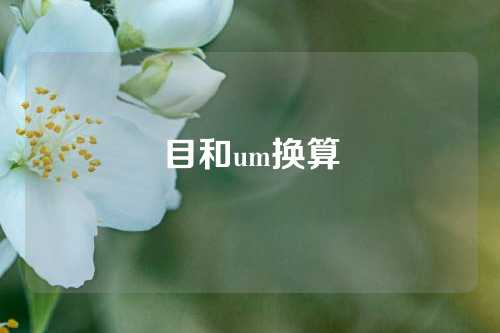 目和um换算