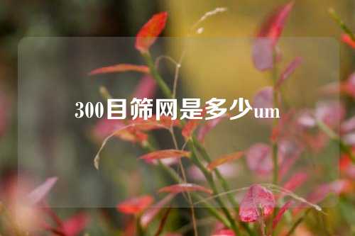 300目筛网是多少um