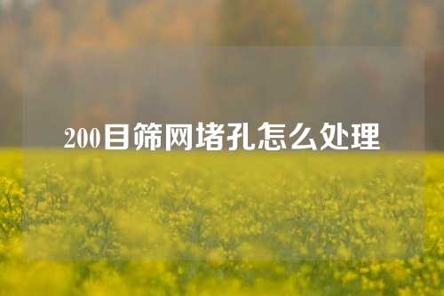 200目筛网堵孔怎么处理