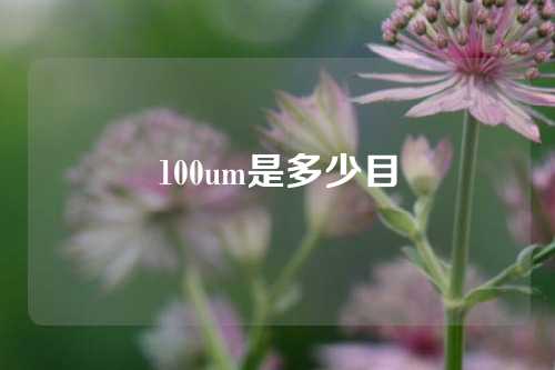 100um是多少目