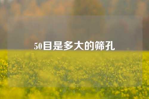 50目是多大的筛孔