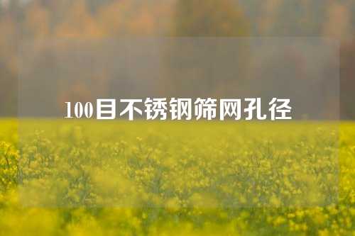 100目不锈钢筛网孔径