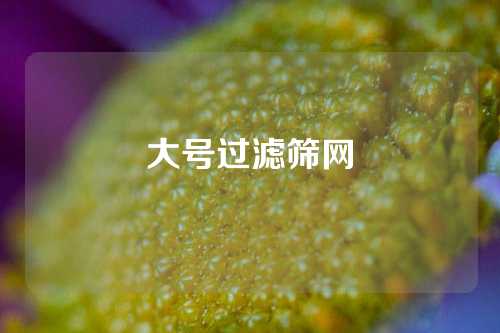 大号过滤筛网