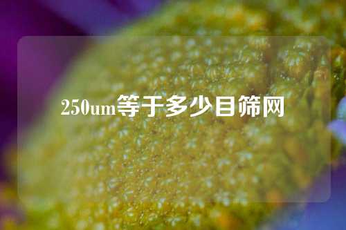 250um等于多少目筛网