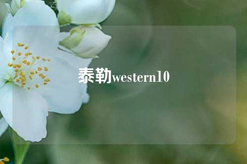 泰勒western10